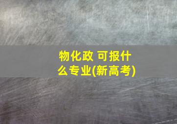 物化政 可报什么专业(新高考)